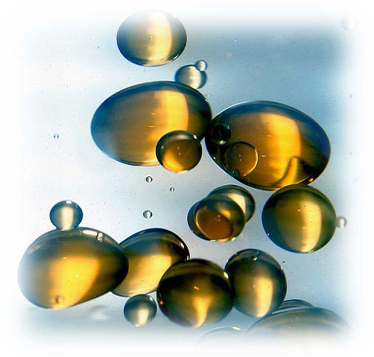 Food oil, major North African company chooses Opera labelling by Sacmi