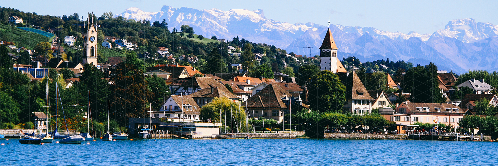 CONFERENCE: PETNOLOGY 2026